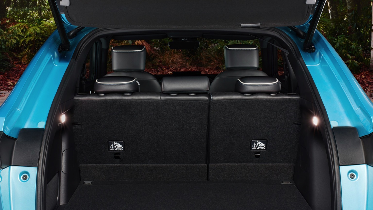 Vehicle Feature Picture