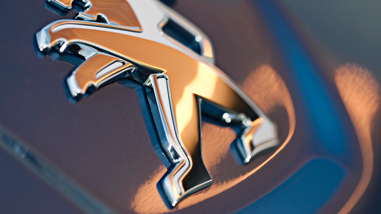 Vehicle Feature Picture