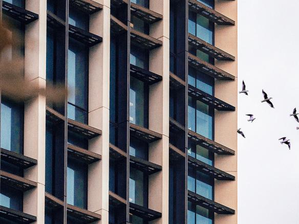 Get in touch with your property manager