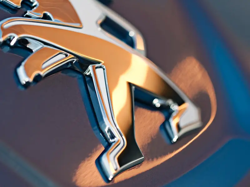 Compatible with all Peugeot electric and plug-in hybrids