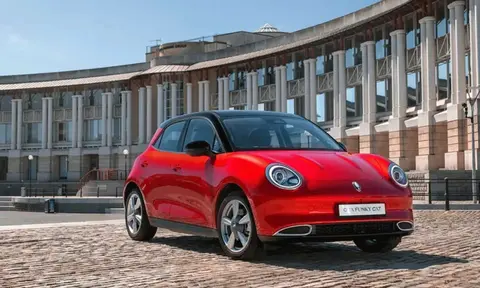 ORA-Funky-cat-Bristol