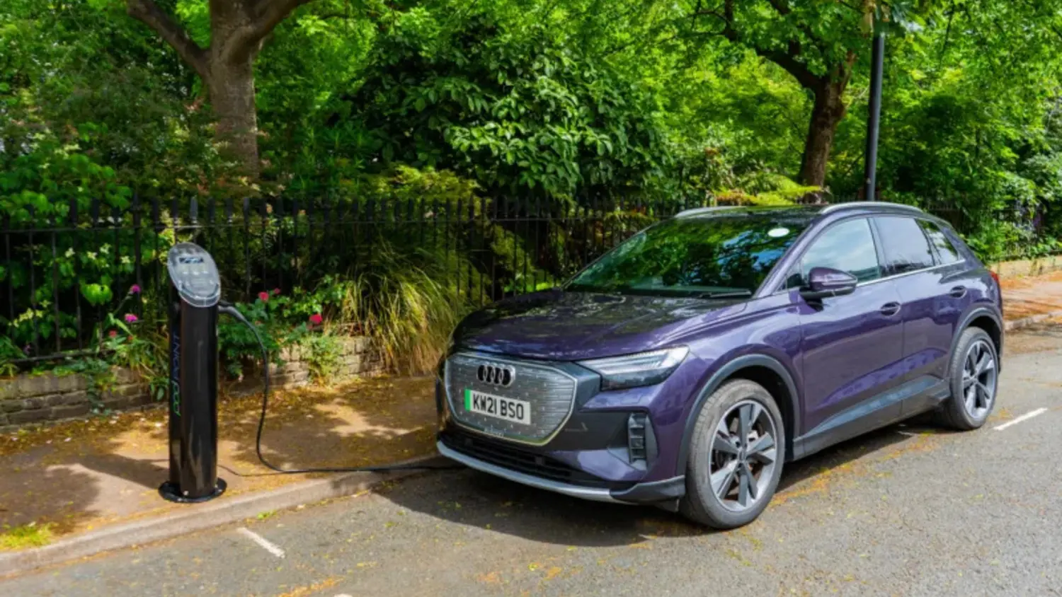 Article Feature Picture