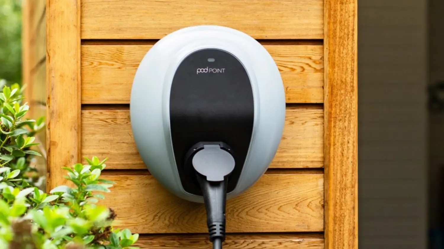 Article Feature Picture