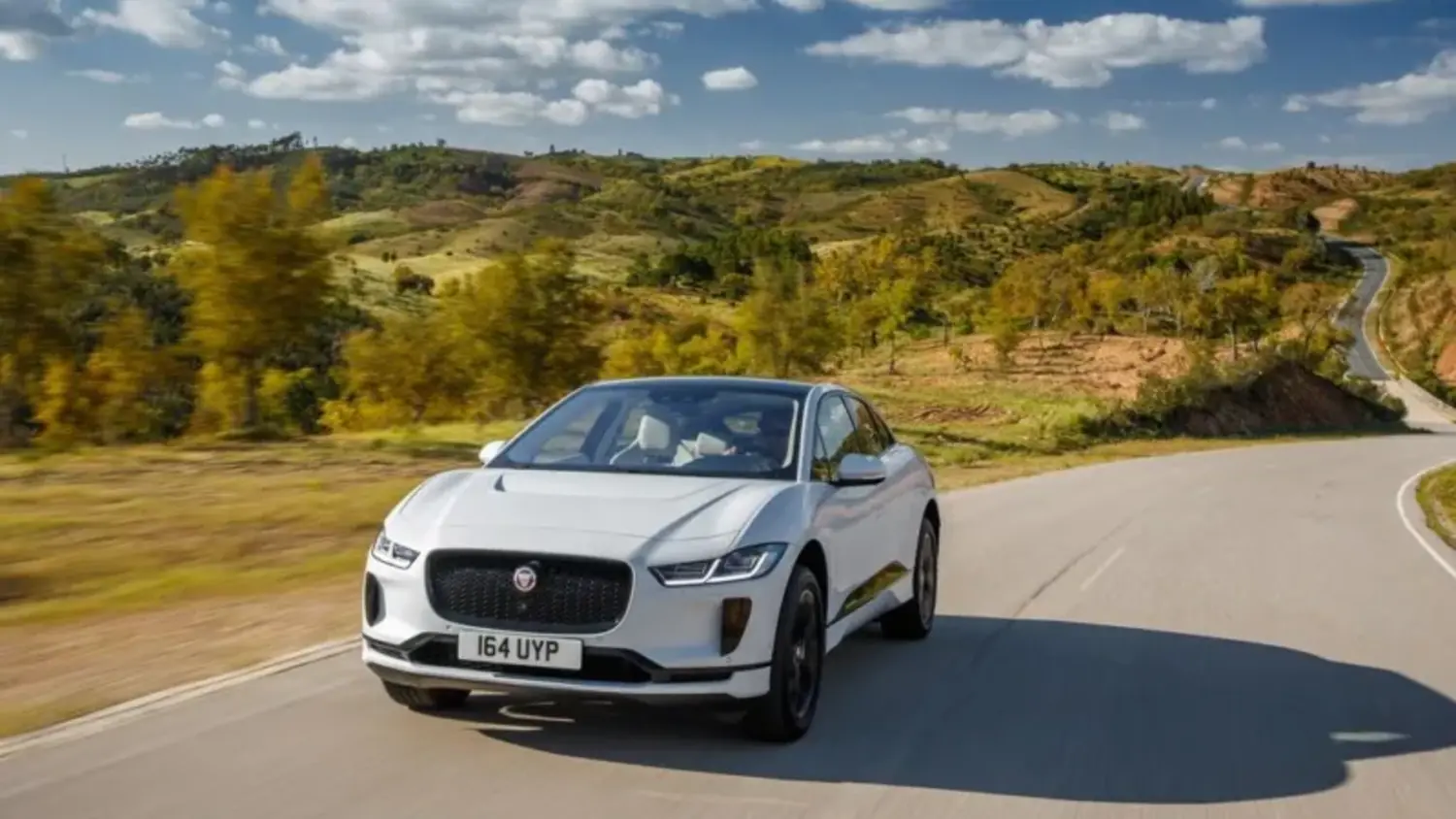 Article Feature Picture