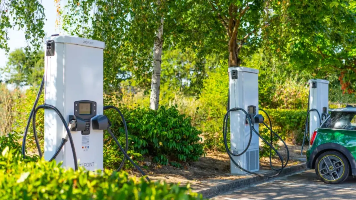 Article Feature Picture