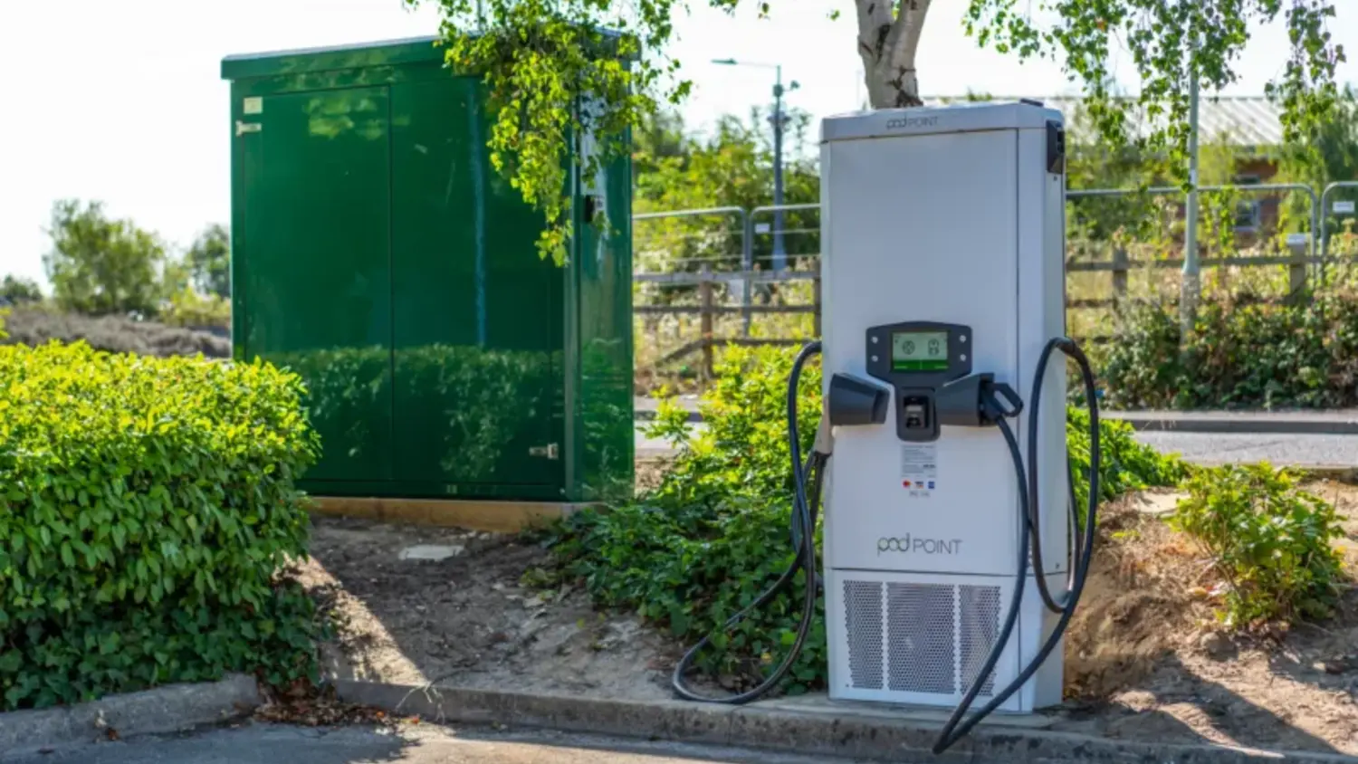 Article Feature Picture