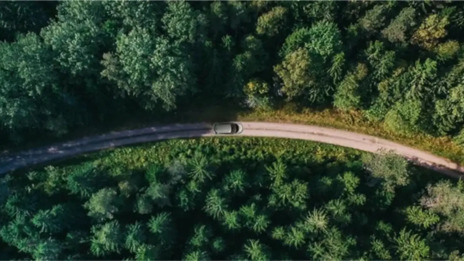 Article Feature Picture