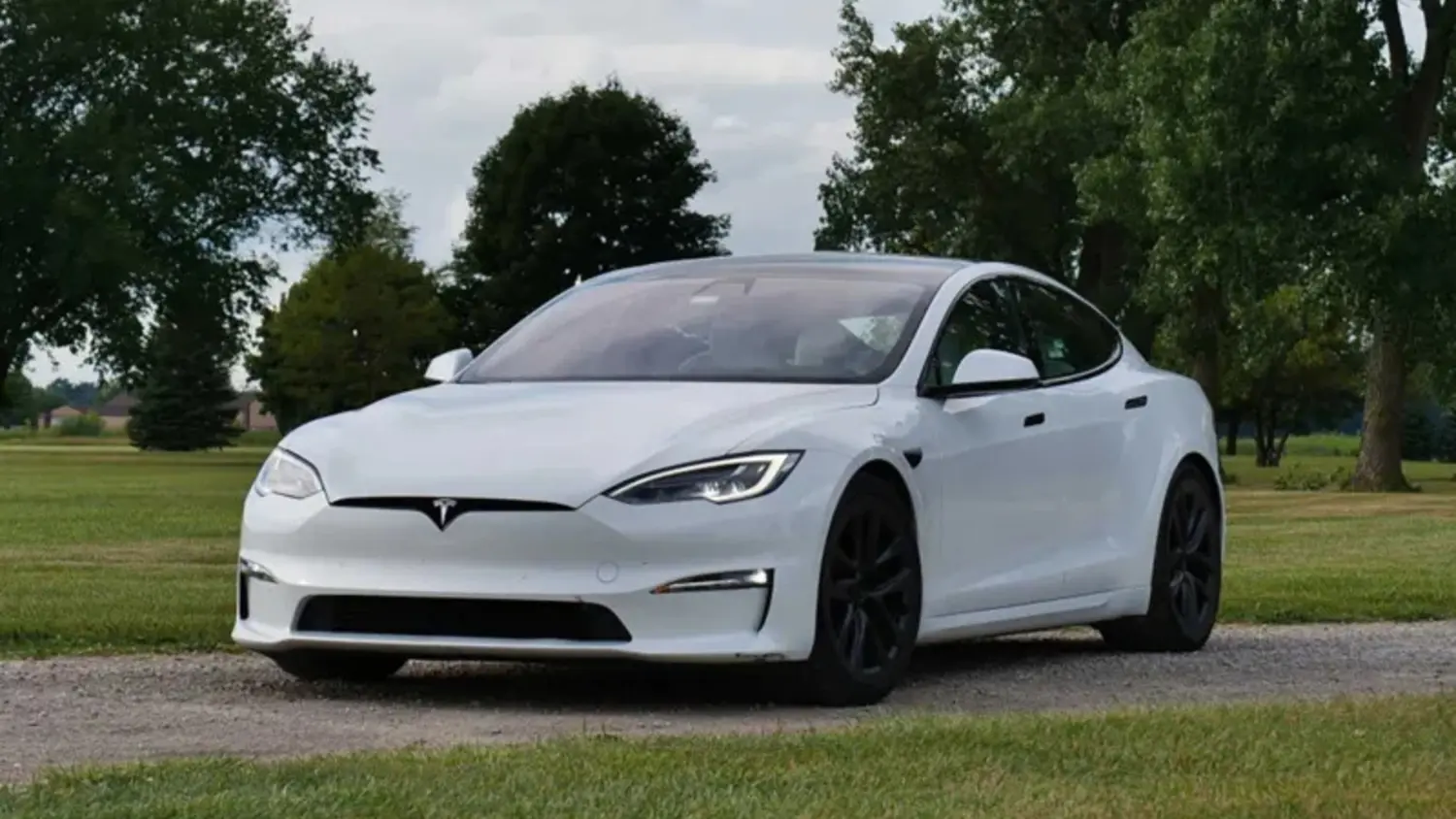 Article Feature Picture