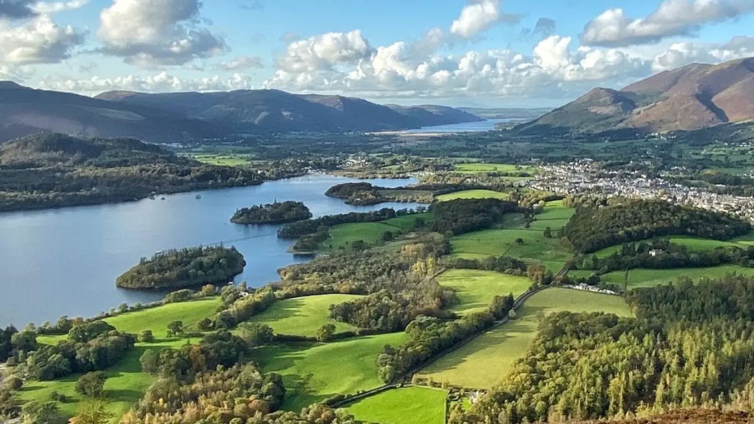 Article Feature Picture