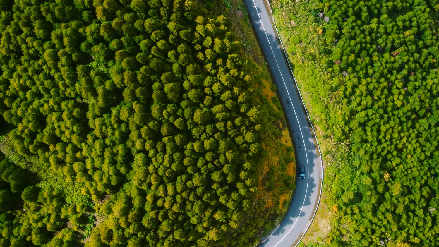 Article Feature Picture