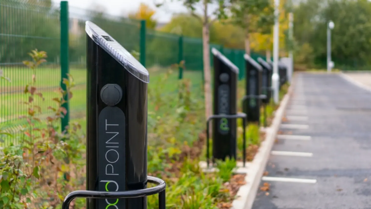 Article Feature Picture